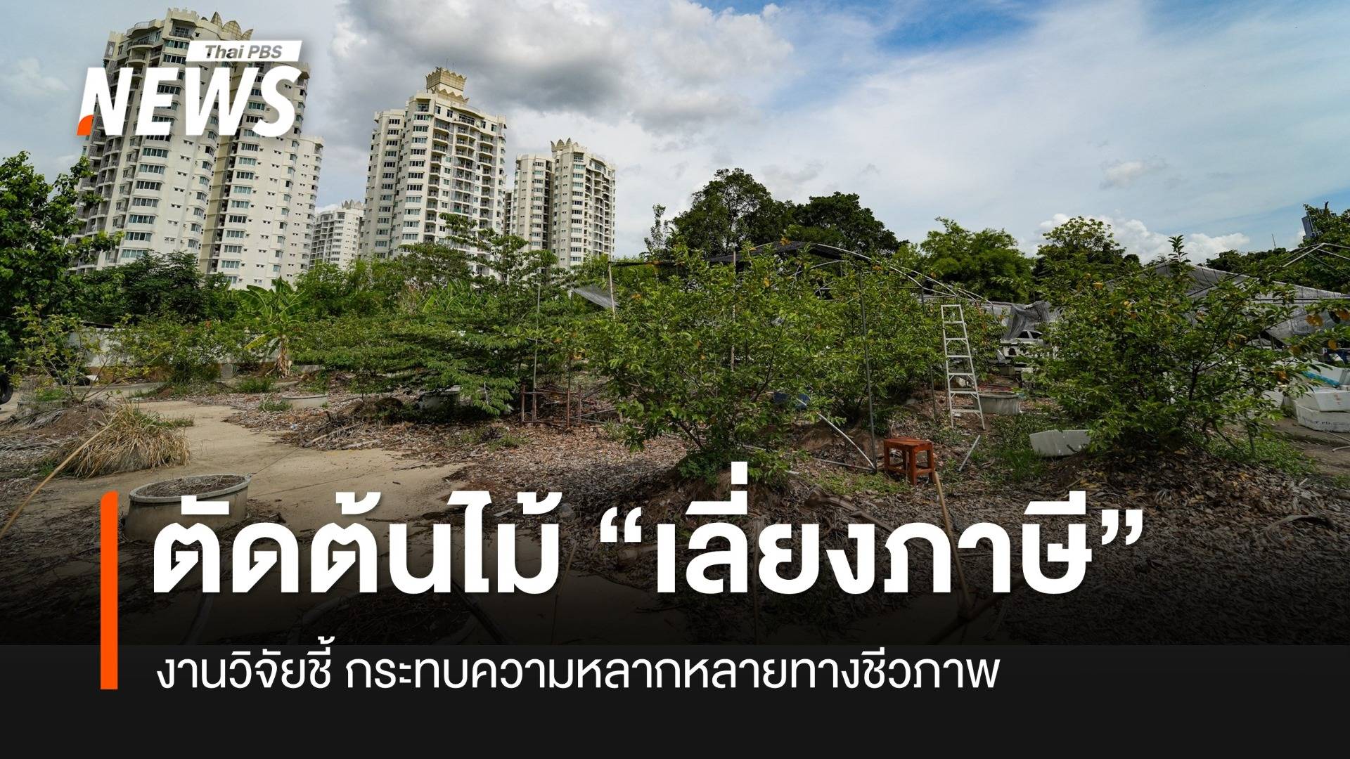 วิจัยชี้ "ภาษีที่ดินว่างเปล่า" ทำลายความหลากหลายทางชีวภาพ