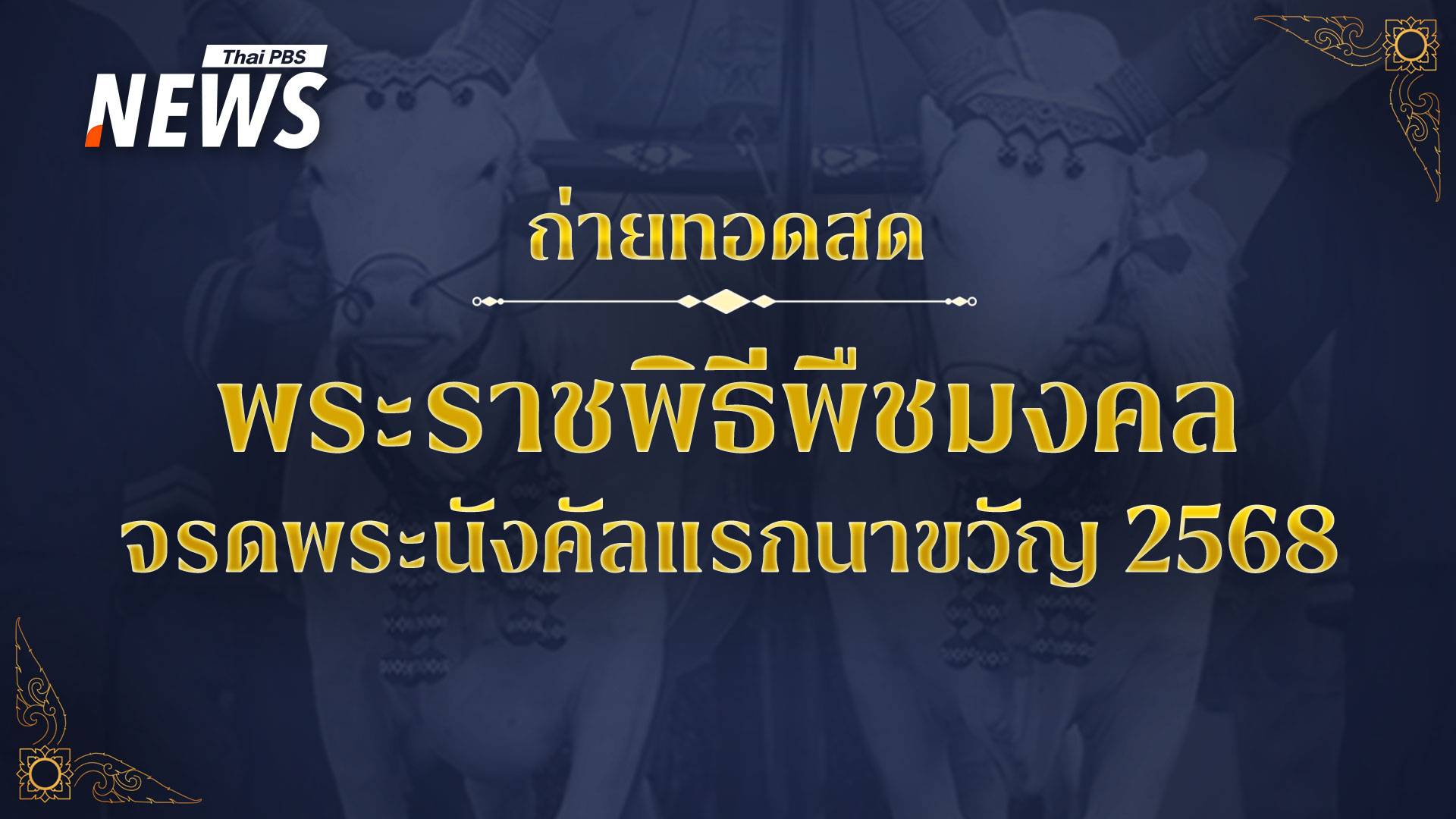 ถ่ายทอดสด พระราชพิธีจรดพระนังคัลแรกนาขวัญ วันพืชมงคล 2568