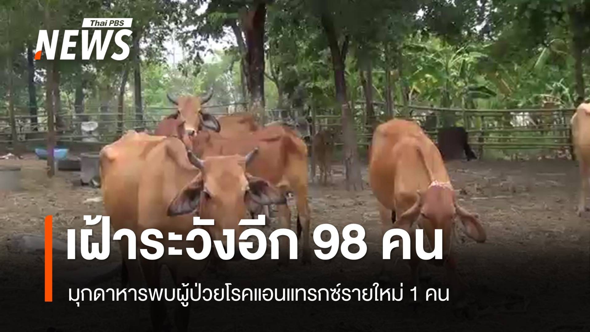 มุกดาหารพบผู้ป่วยโรคแอนแทรกซ์รายใหม่ 1 คน เฝ้าระวังอีก 98 คน