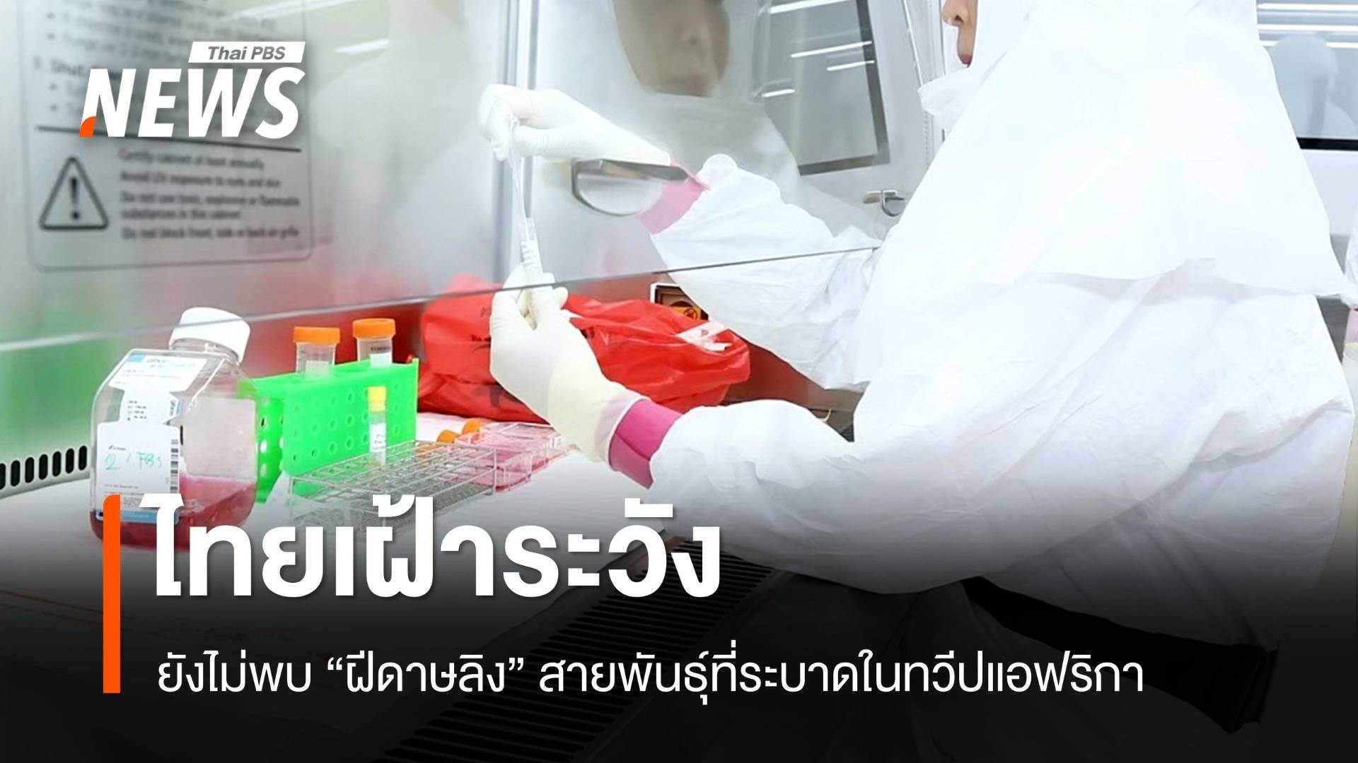 ไทยยังไม่พบเชื้อ "ฝีดาษลิง" สายพันธุ์ที่ระบาดในทวีปแอฟริกา