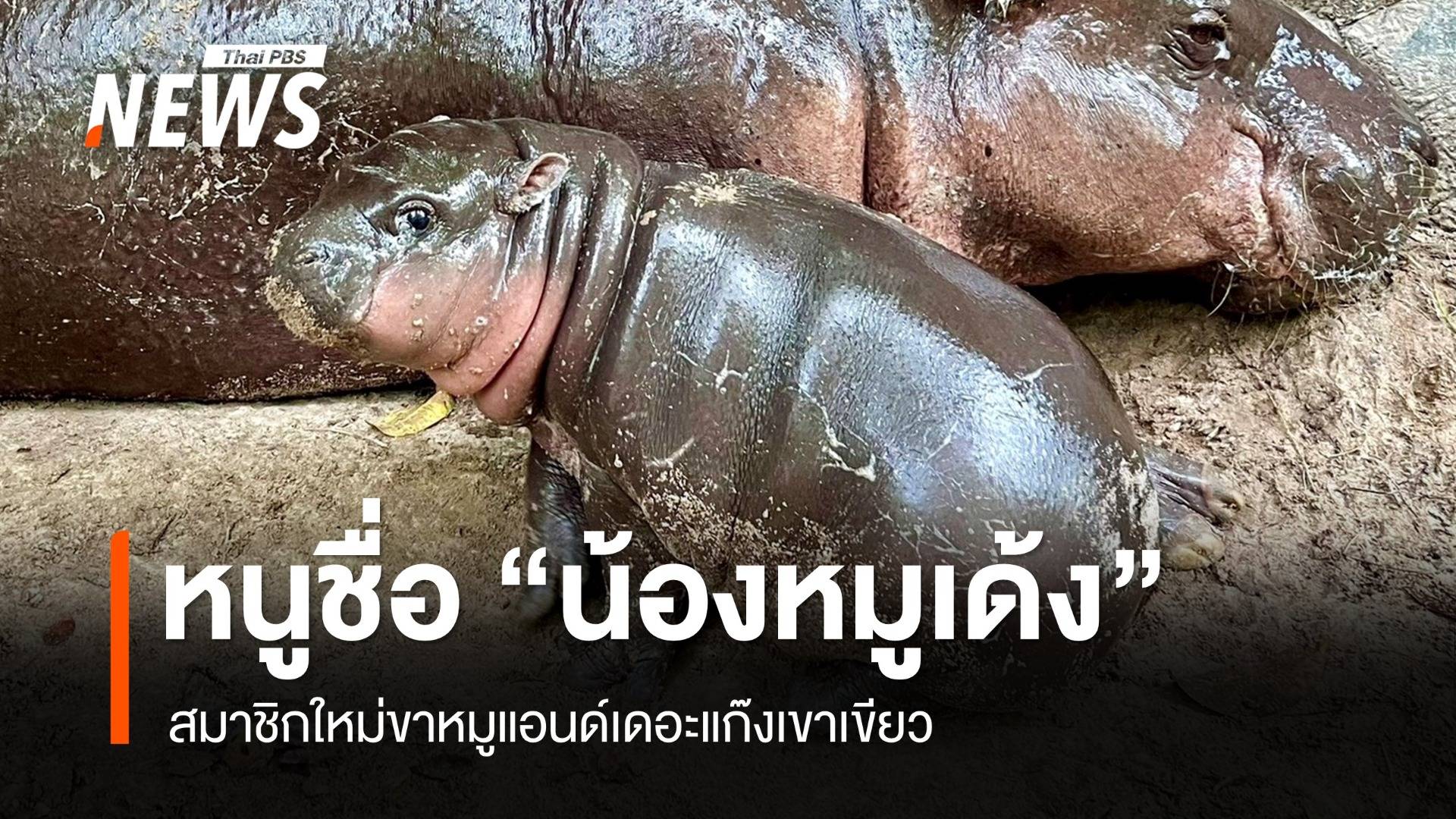 "น้องหมูเด้ง" ชื่อลูกฮิปโปแคระตัวเมียสวนสัตว์เขาเขียว