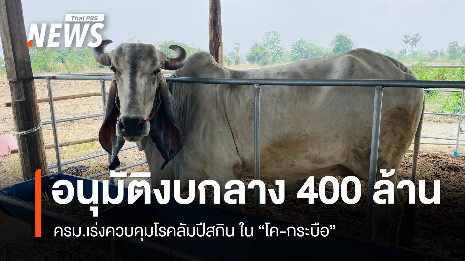 ครม.อนุมัติงบกลางกว่า 400 ล้าน คุมระบาด "ลัมปีสกิน" 