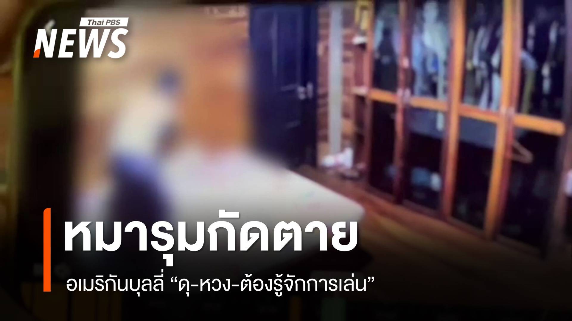 วงจรปิดบันทึกเหตุชาย 18 ปีถูก 3 สุนัขอเมริกันบูลลี่ขย้ำตาย