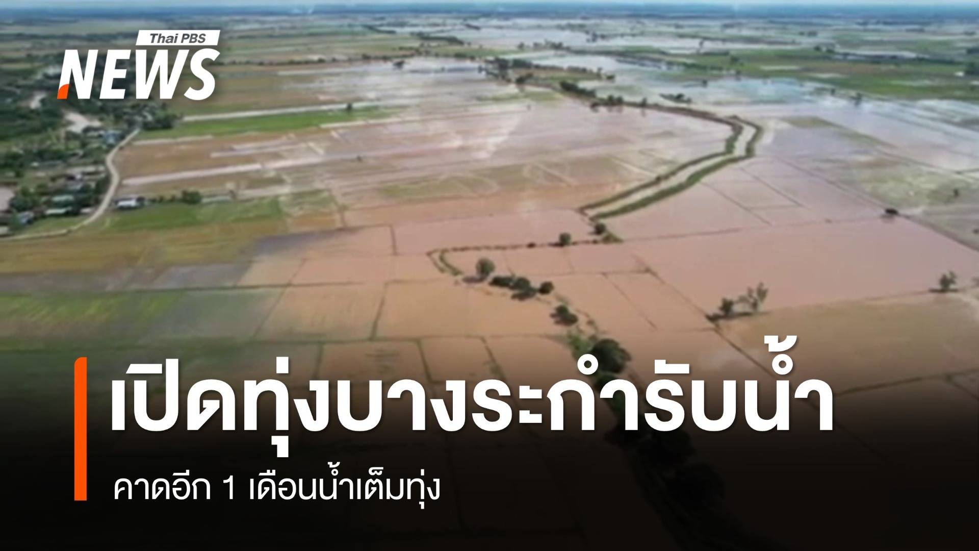 ปล่อยน้ำเข้าทุ่ง "บางระกำ" คาดอีก 1 เดือนน้ำเต็มทุ่ง