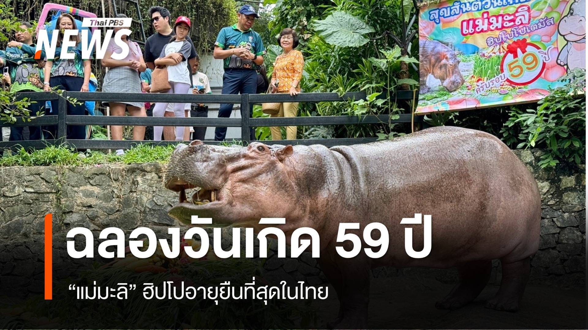 แฮปปี้เบิร์ทเดย์ 59 ปี “แม่มะลิ” ฮิปโปอายุยืนที่สุดในไทย