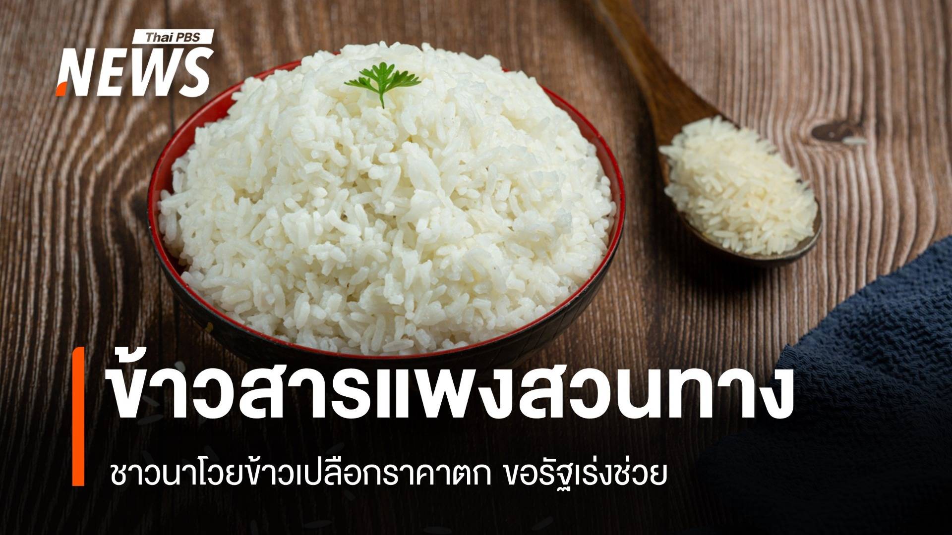 ข้าวสารสวนทาง! ชาวนาโวยข้าวเปลือกราคาตก ขอรัฐบาลเร่งช่วย