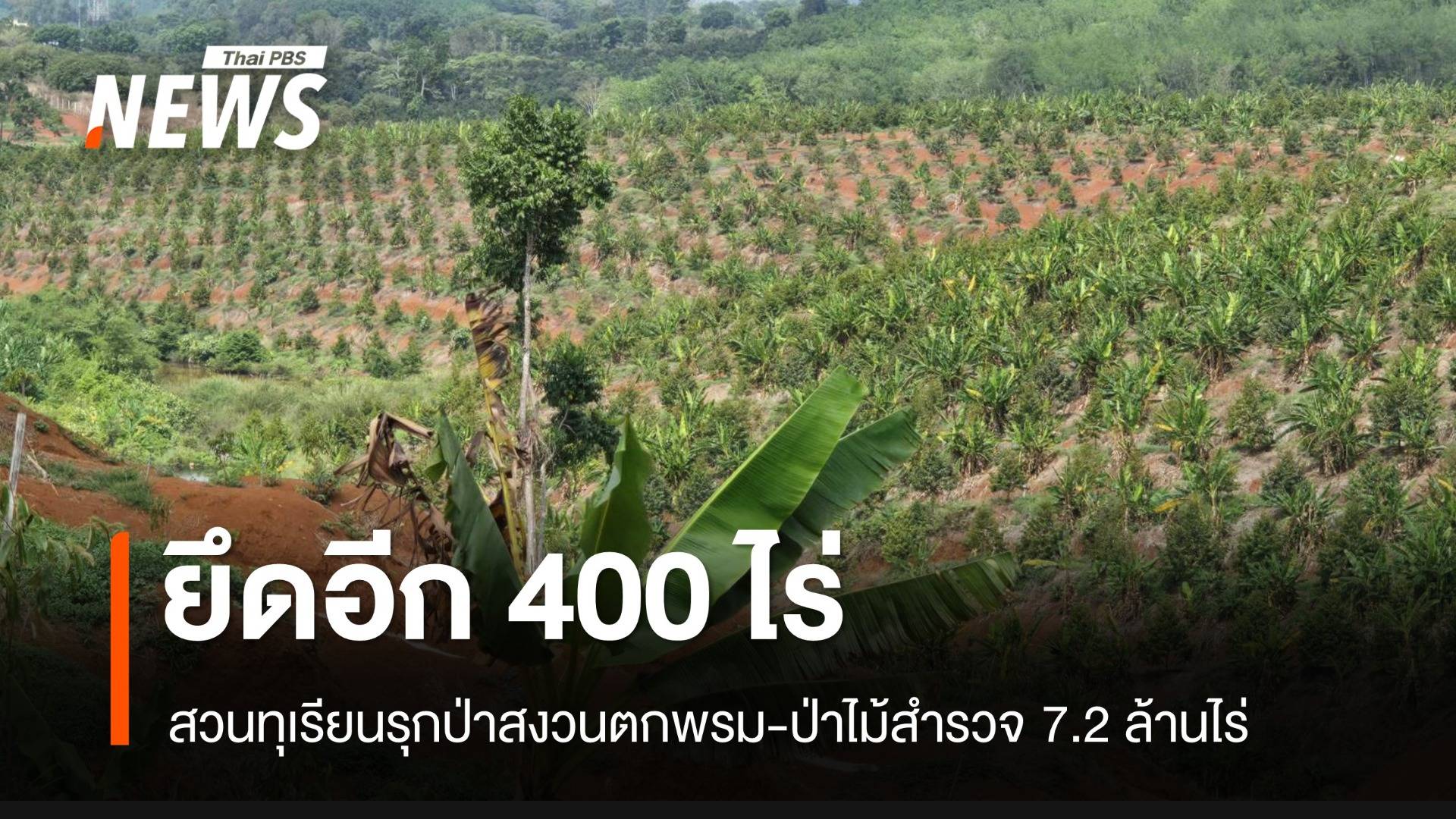 ยึดอีกแปลง 400 ไร่สวนทุเรียนรุกป่า "จิสด้า" ช่วยสแกน 7.2 ล้านไร่