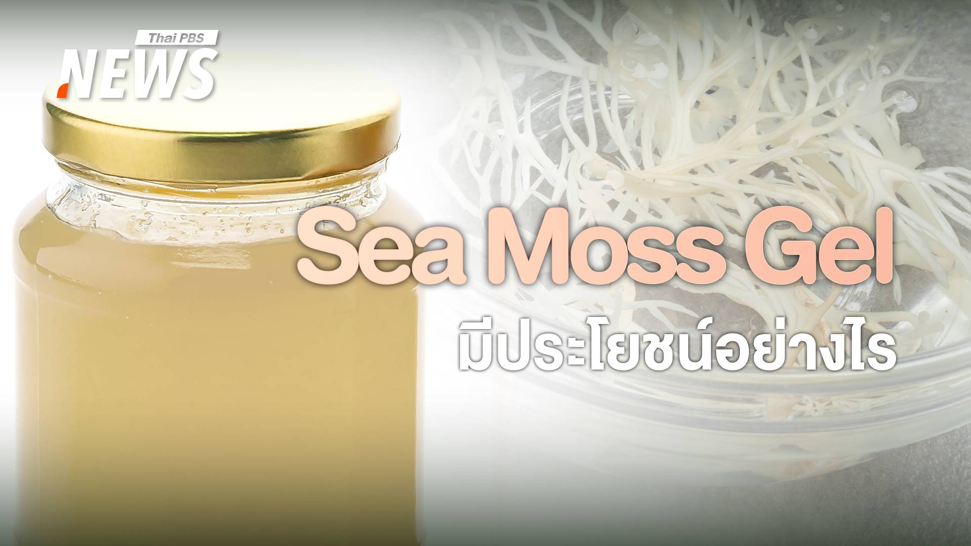 "Sea Moss Gel" มีประโยชน์อะไร ใครไม่ควรกิน  