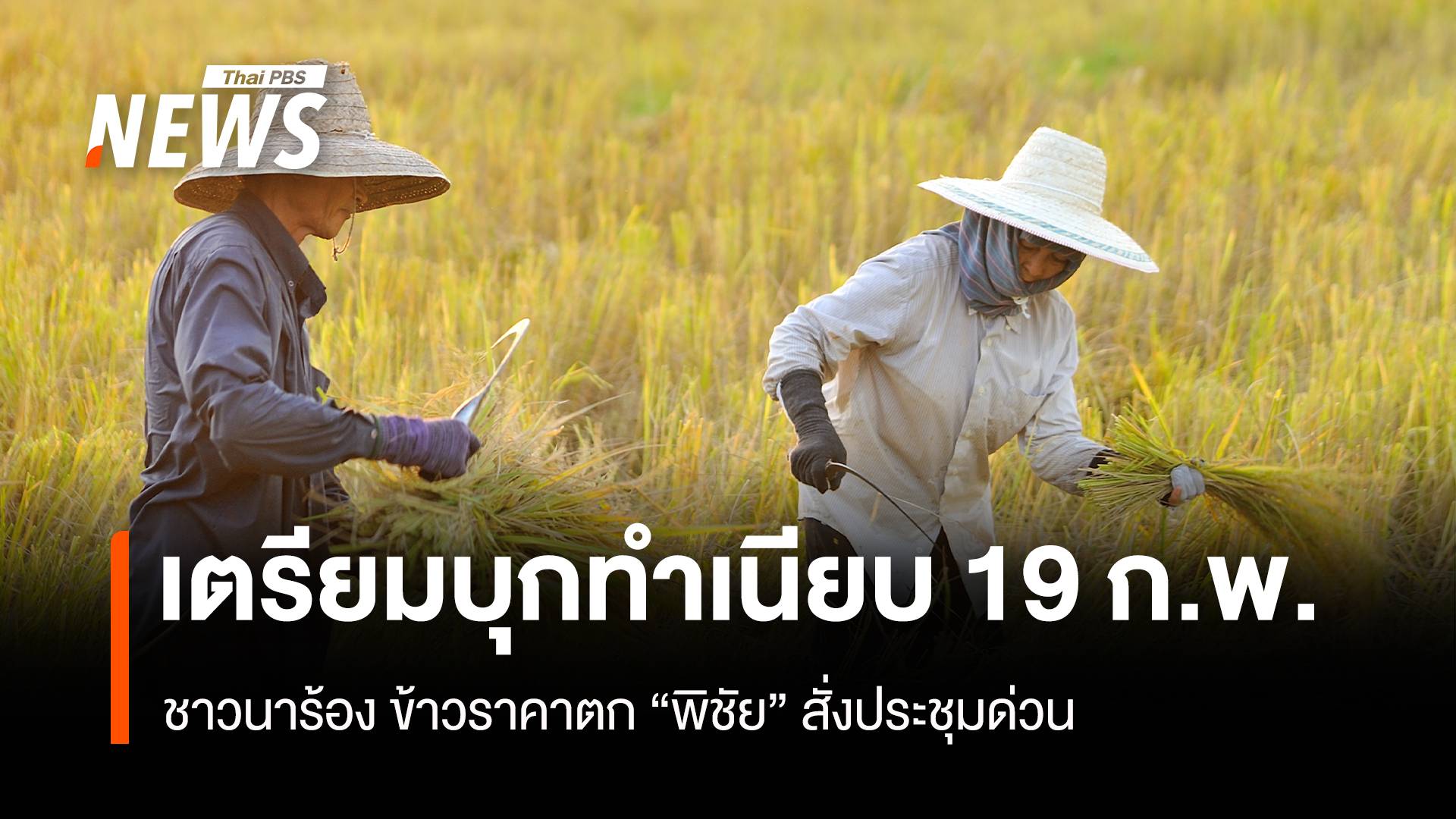 ชาวนาทั่ว ปท.จ่อบุกทำเนียบ 20 ก.พ.ร้องราคาข้าวตกหนัก