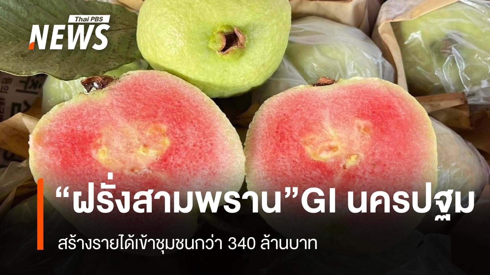 “ฝรั่งสามพราน” สินค้าGI ของดีนครปฐม  สร้างรายได้กว่า 340 ล้านบาท