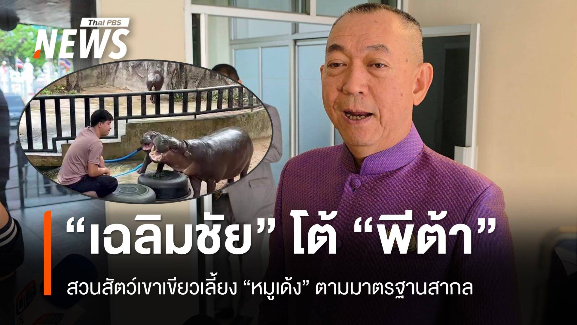 "เฉลิมชัย" โต้ "พีต้า" ยันสวนสัตว์เขาเขียวเลี้ยงหมูเด้งได้มาตรฐาน 