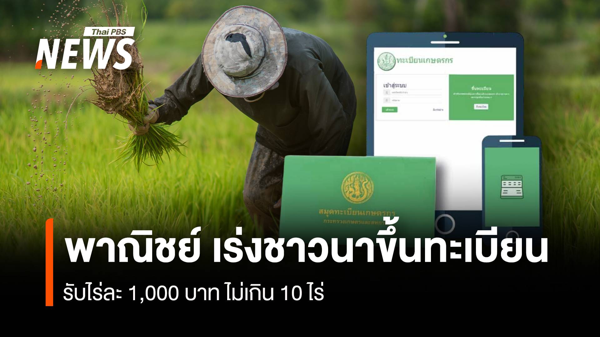 พาณิชย์ เร่งชาวนาขึ้นทะเบียน รับไร่ละ 1,000 บาท ไม่เกิน 10ไร่