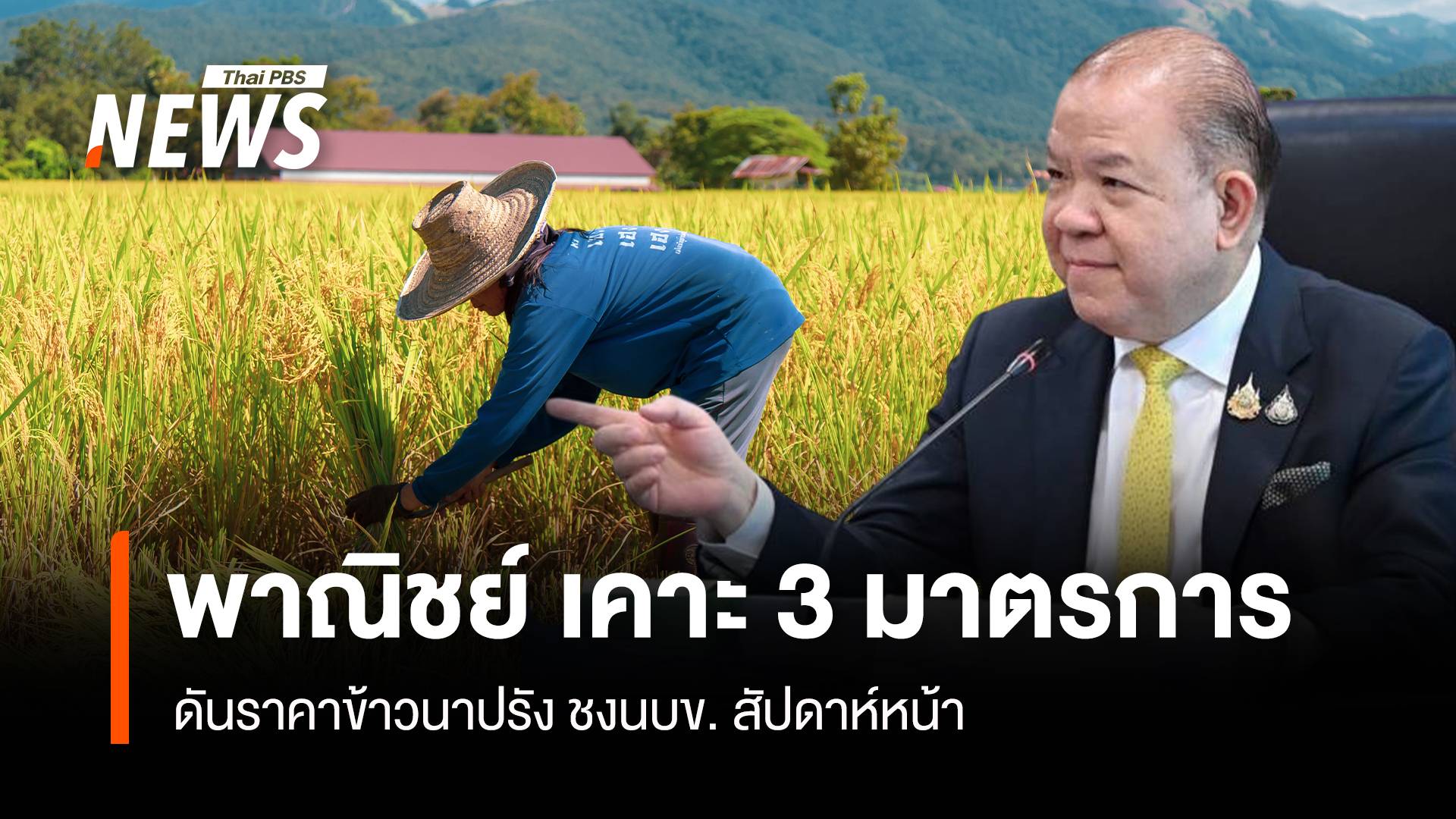 พาณิชย์ เคาะ 3 มาตรการ ดันราคาข้าวนาปรัง ชงนบข. สัปดาห์หน้า