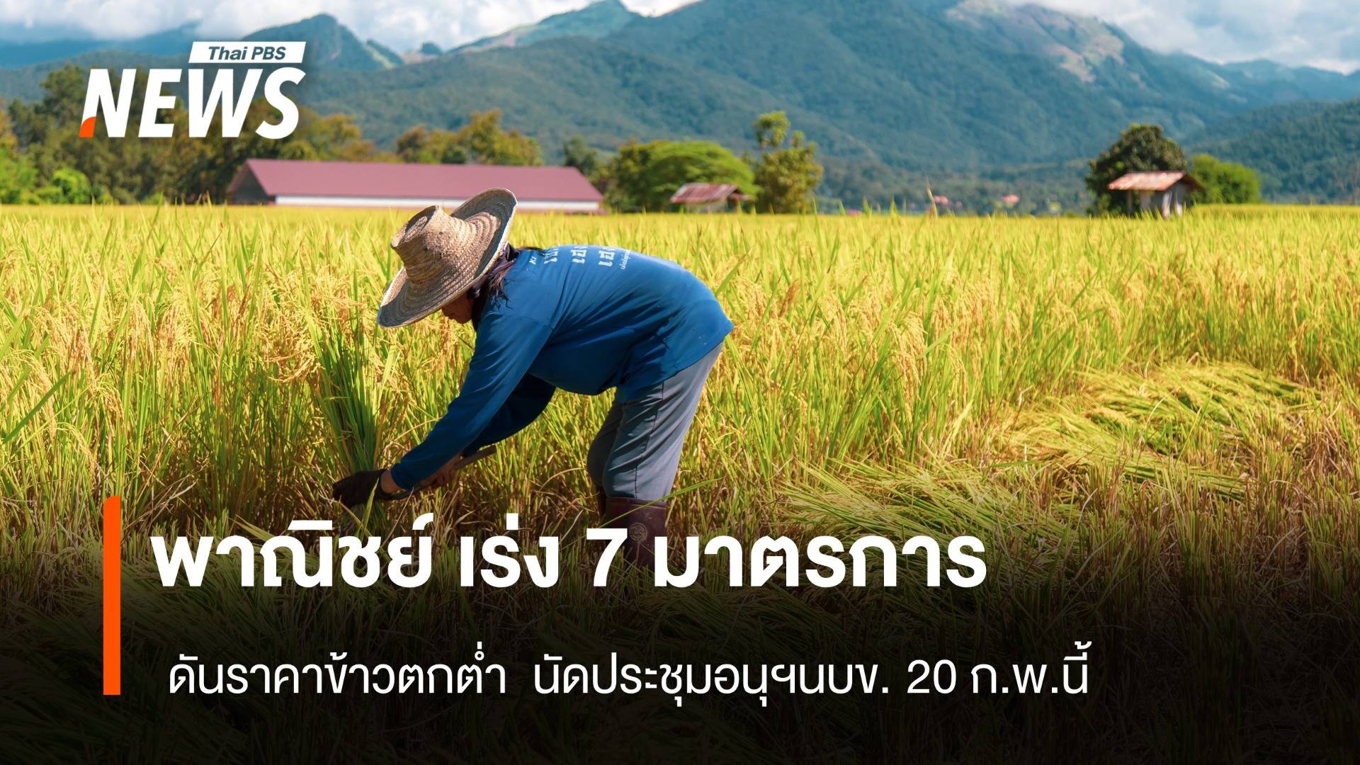 พาณิชย์ เร่ง 7 มาตรการ ดันราคาข้าว นัดประชุมอนุฯนบข. 20 ก.พ.นี้ 