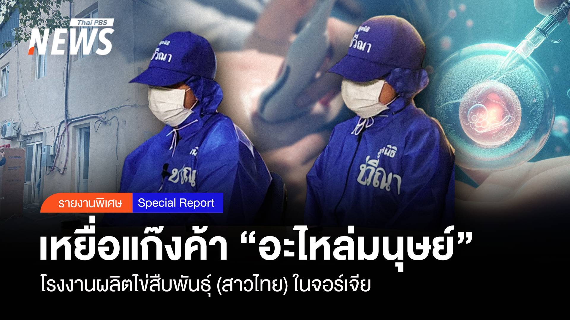 เหยื่อแก๊งค้า "อะไหล่มนุษย์" โรงงานรีดไข่ (สาวไทย) ในจอร์เจีย