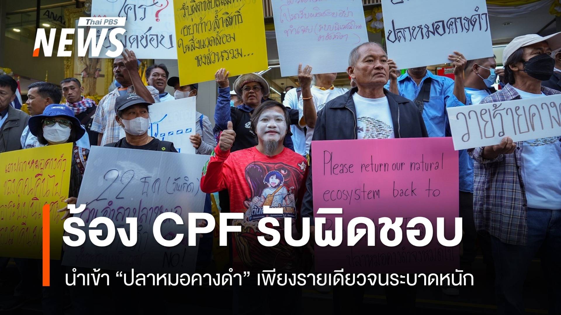 เรียกร้อง CPF รับผิดชอบปลาหมอคางดำระบาด