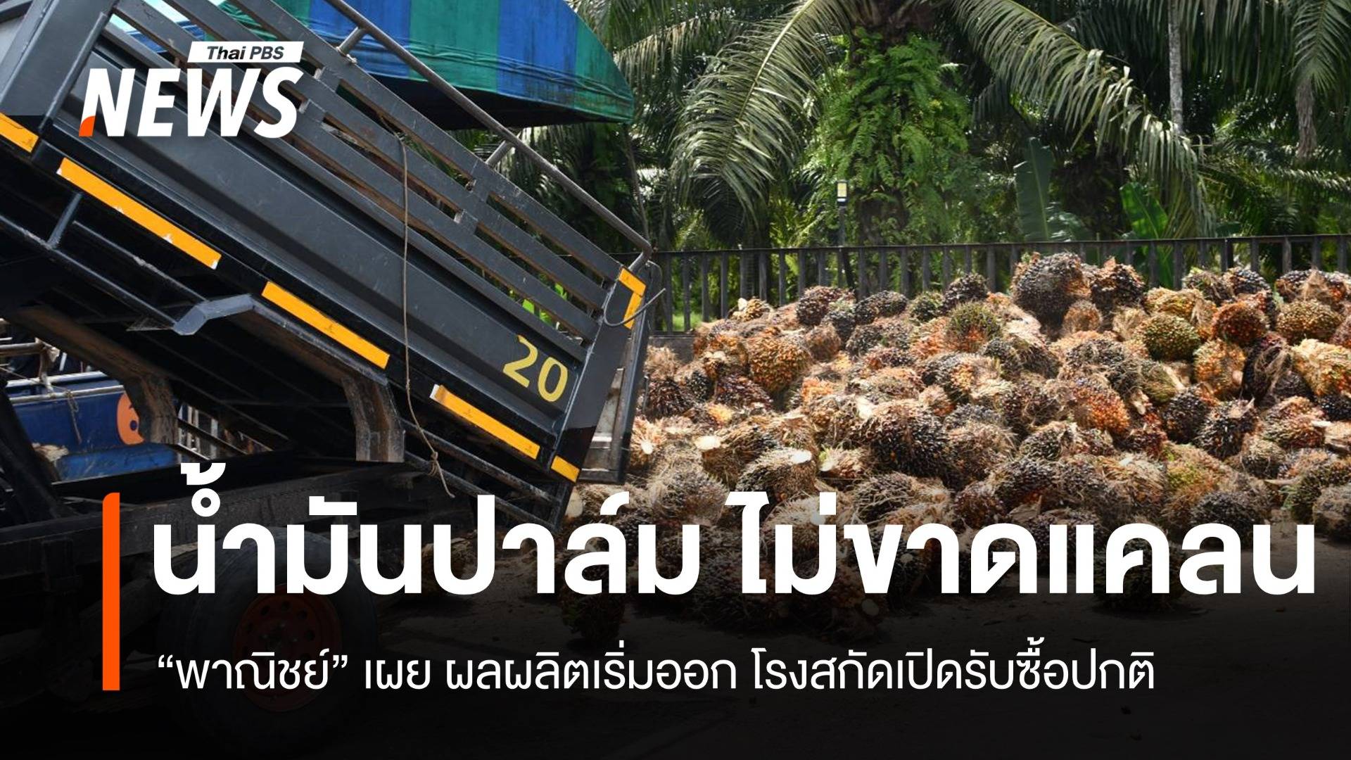 “พาณิชย์”ย้ำปาล์ม ไม่ขาดแคลน ผลผลิตเริ่มออก โรงสกัดเปิดรับซื้อ