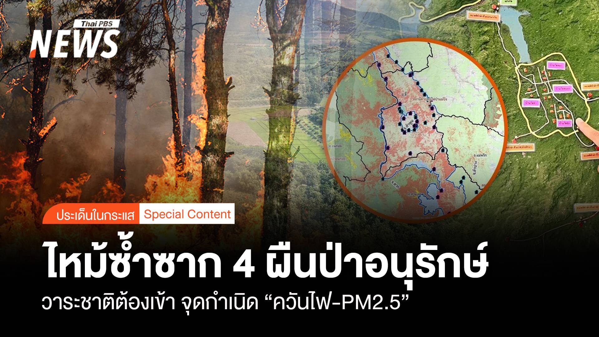 ไหม้ซ้ำซาก 4 ผืนป่าอนุรักษ์ วาระชาติแก้จุดเกิด “ควันไฟ-PM 2.5”