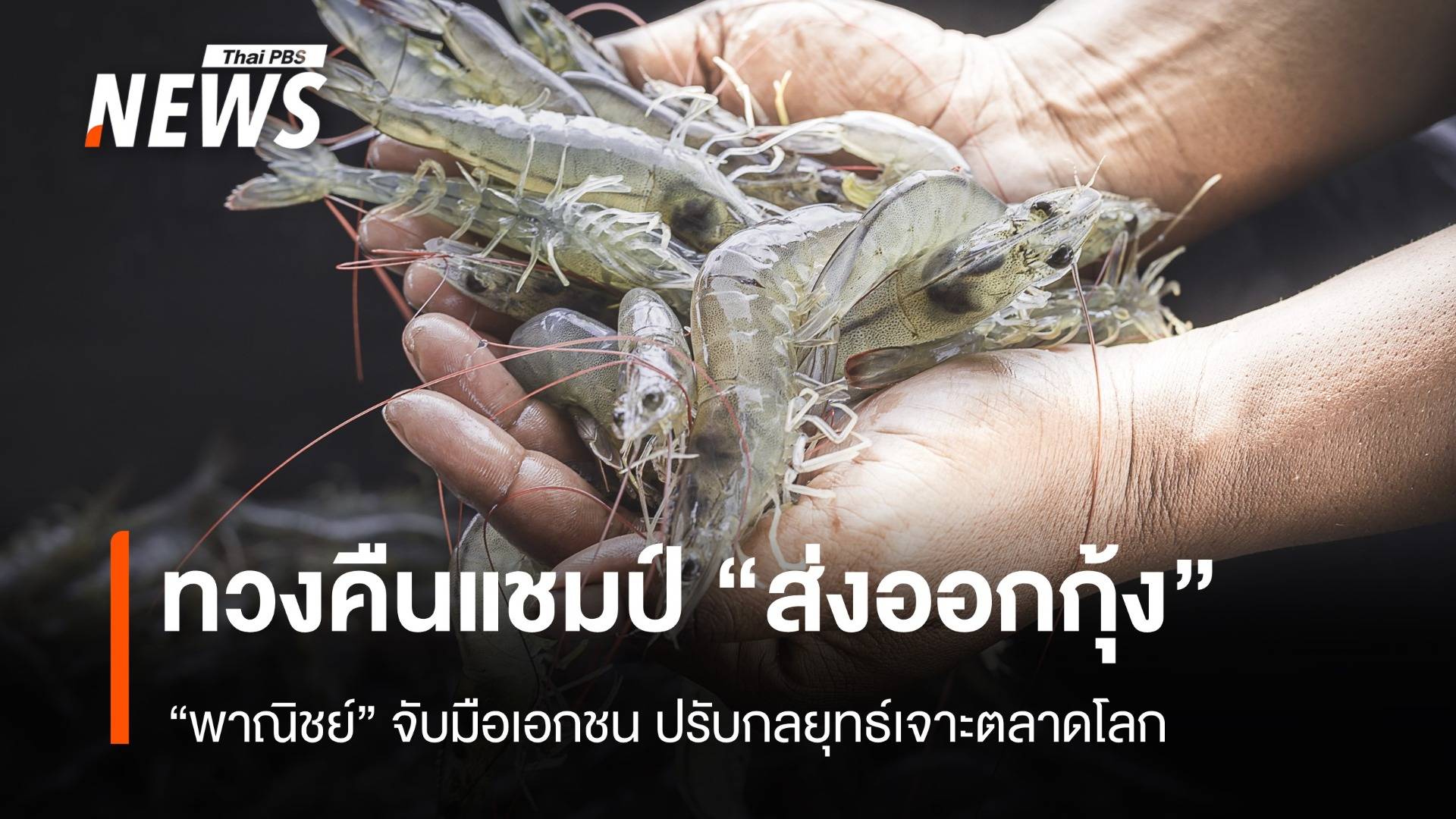 ทวงคืนแชมป์ส่งออกกุ้ง “พาณิชย์” จับมือเอกชน ปรับกลยุทธ์เจาะตลาดโลก 