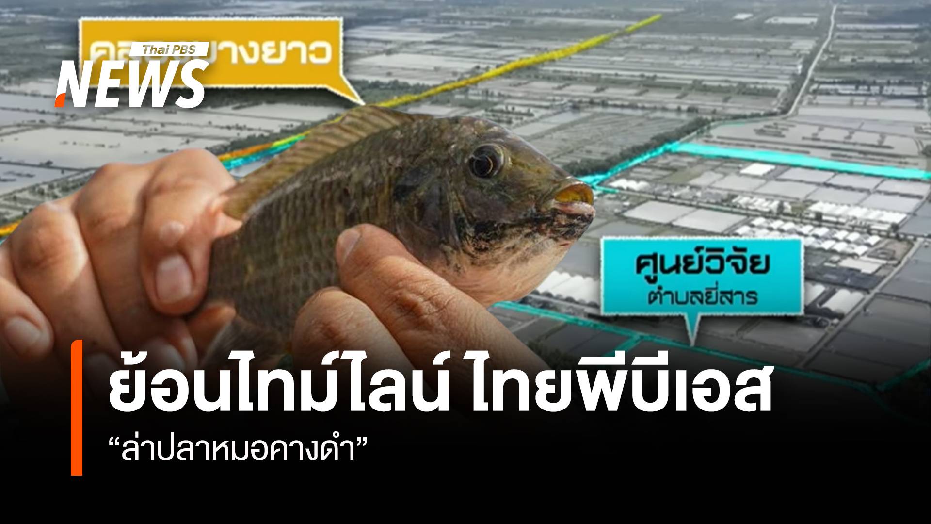 ย้อนไทม์ไลน์ 2 ปี “ไทยพีบีเอส” ล่า “ปลาหมอคางดำ”