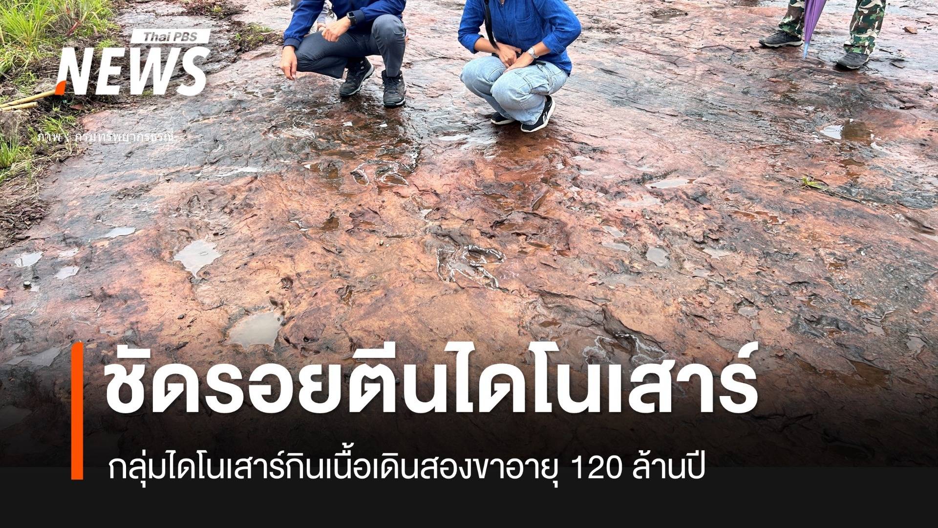ชัดเจนรอยปริศนาภูหินร่องกล้า รอยตีนไดโนเสาร์ "กลุ่มเทอโรพอด"