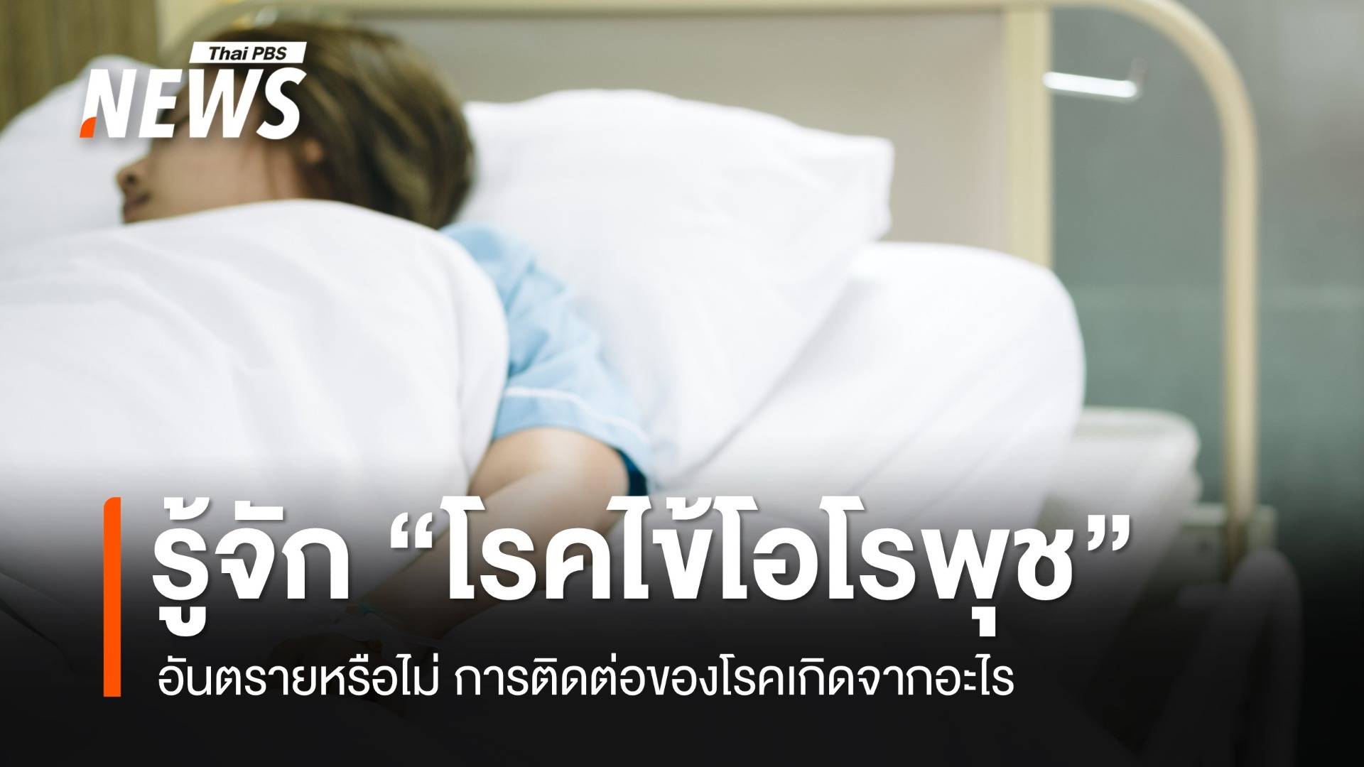 รู้จัก "โรคไข้โอโรพุช" อันตรายหรือไม่ การติดต่อของโรคเกิดจากอะไร