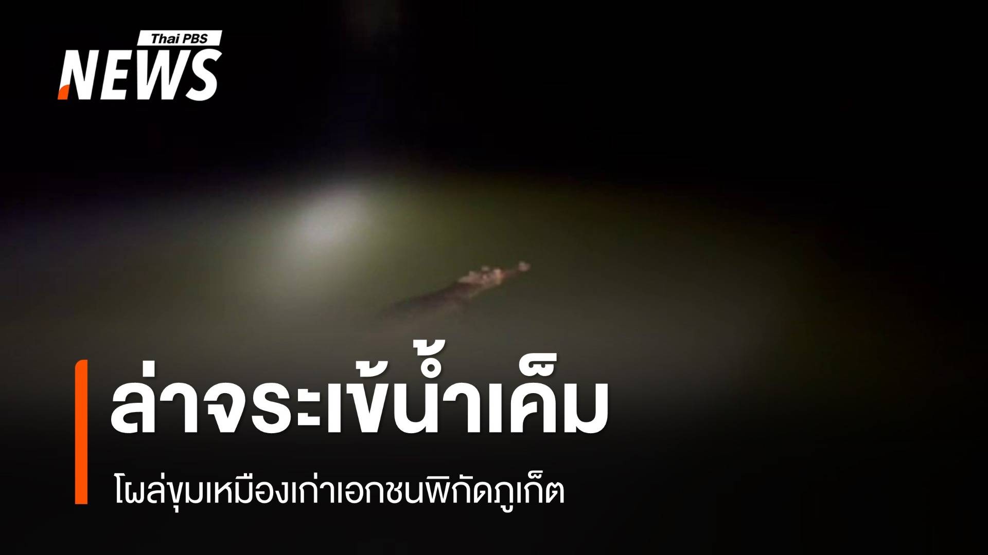 ระดมล่า! จระเข้น้ำเค็มยาว 2 ม.โผล่ขุมเหมืองเก่าภูเก็ต