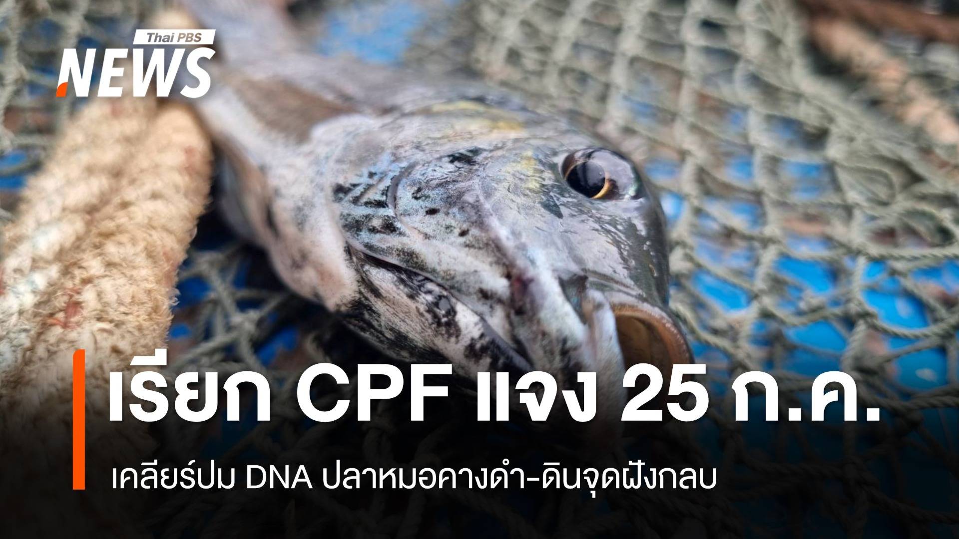 จ่อเรียก CPF แจงปมปลาหมอคางดำระบาด 25 ก.ค.