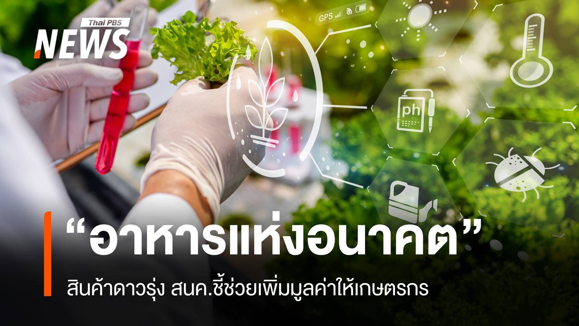 “อาหารแห่งอนาคต” สินค้าดาวรุ่ง สนค.ชี้ช่วยเพิ่มมูลค่าให้เกษตรกร