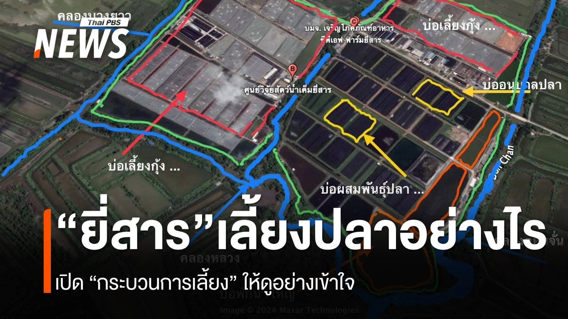 เปิดกระบวนการเลี้ยงปลา “ฟาร์มยี่สาร” สมุทรสงคราม