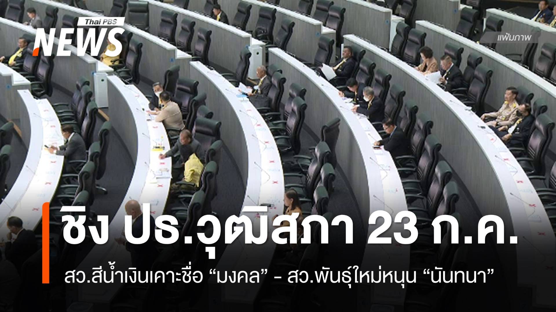 "สว.สีน้ำเงิน - สว.พันธุ์ใหม่" เคาะชื่อชิงประธานวุฒิสภา