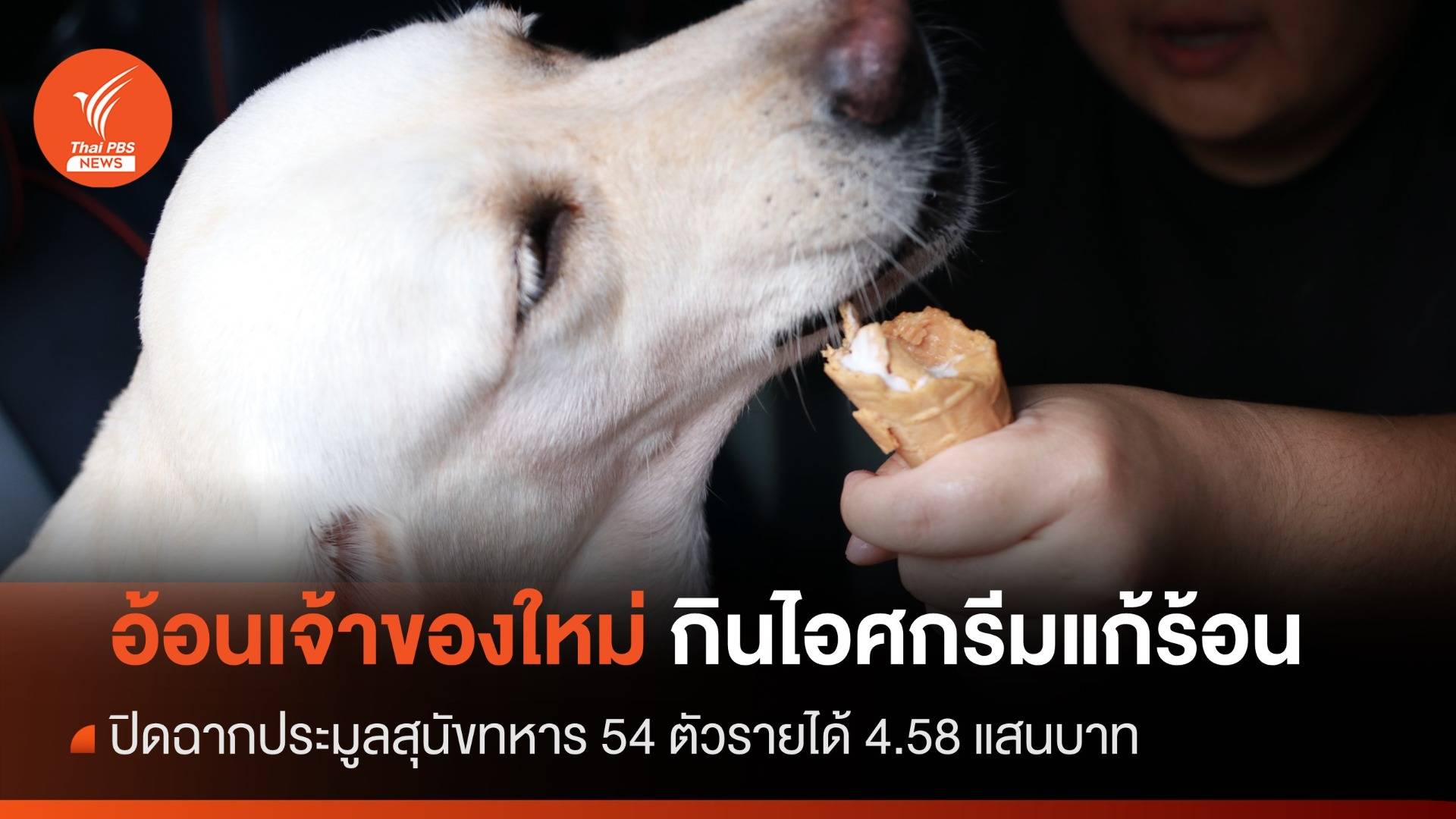 ปิดฉากประมูลสุนัขทหารมูลค่า 4.58 แสนบาท