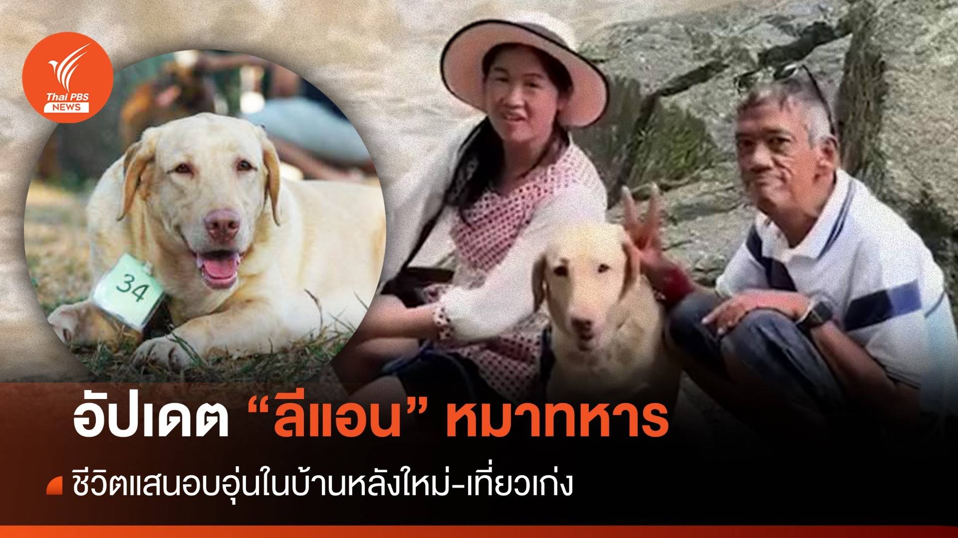 อัปเดตชีวิต "ลีแอน" หมาประมูลกับบ้านใหม่แสนอบอุ่น