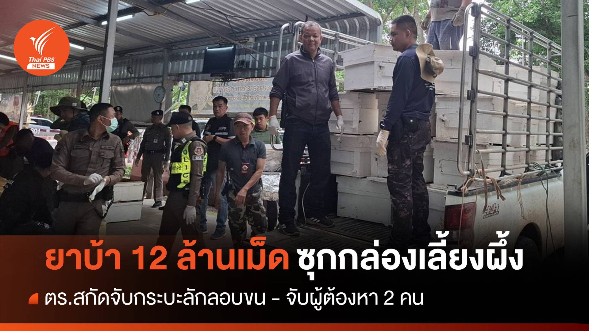 จับกระบะลักลอบขนยาบ้า 12 ล้านเม็ดซุกกล่องเลี้ยงผึ้ง
