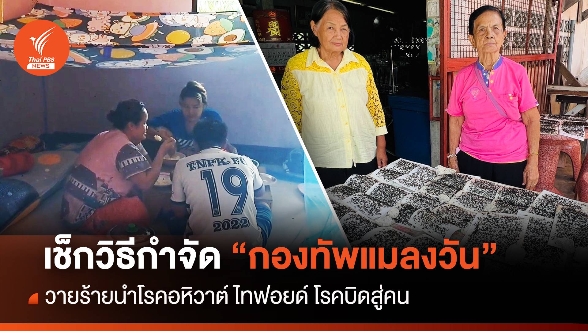 เช็กวิธีกำจัด "กองทัพแมลงวัน" วายร้ายนำโรคอหิวาต์