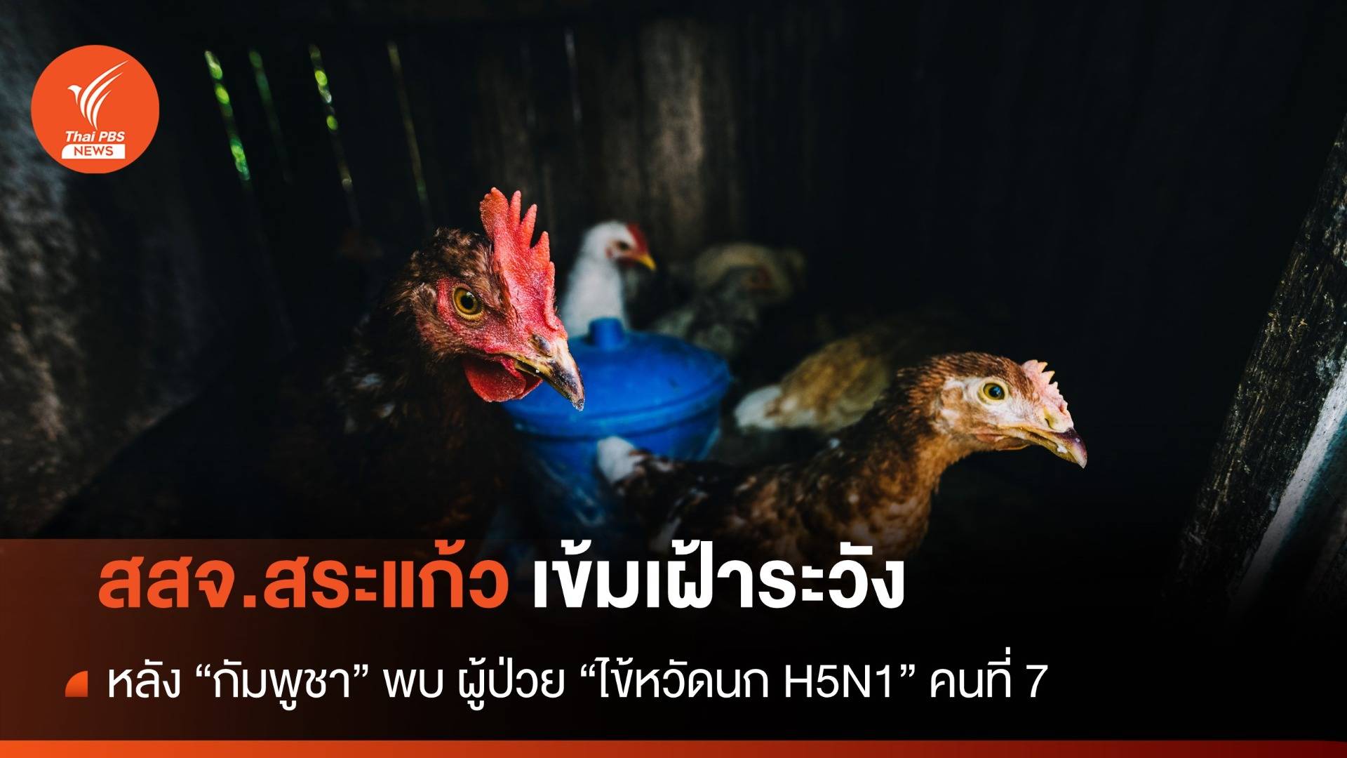 สสจ.สระแก้ว เข้มเฝ้าระวัง หลังกัมพูชา พบผู้ป่วย "ไข้หวัดนก H5N1" รายที่ 7 