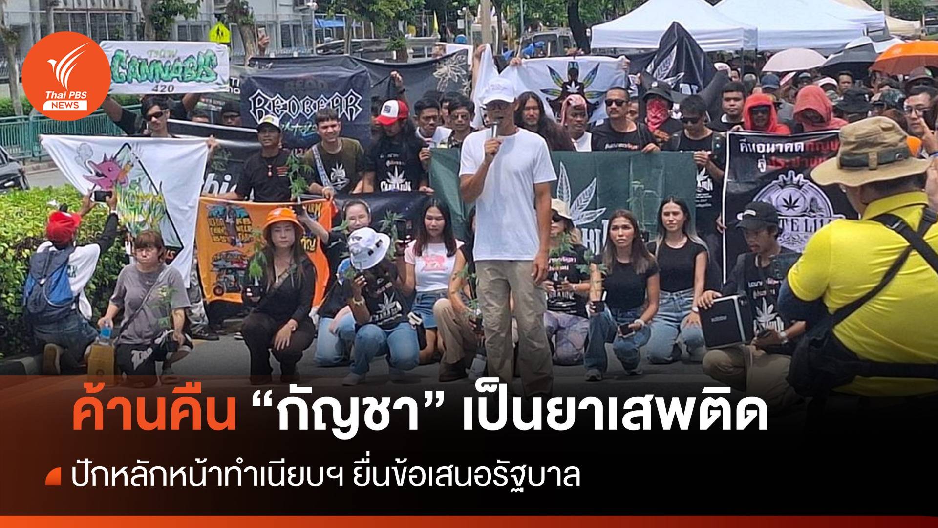 เครือข่ายฯ ค้านนำกัญชาเป็นยาเสพติด ปักหลักหน้าทำเนียบฯ
