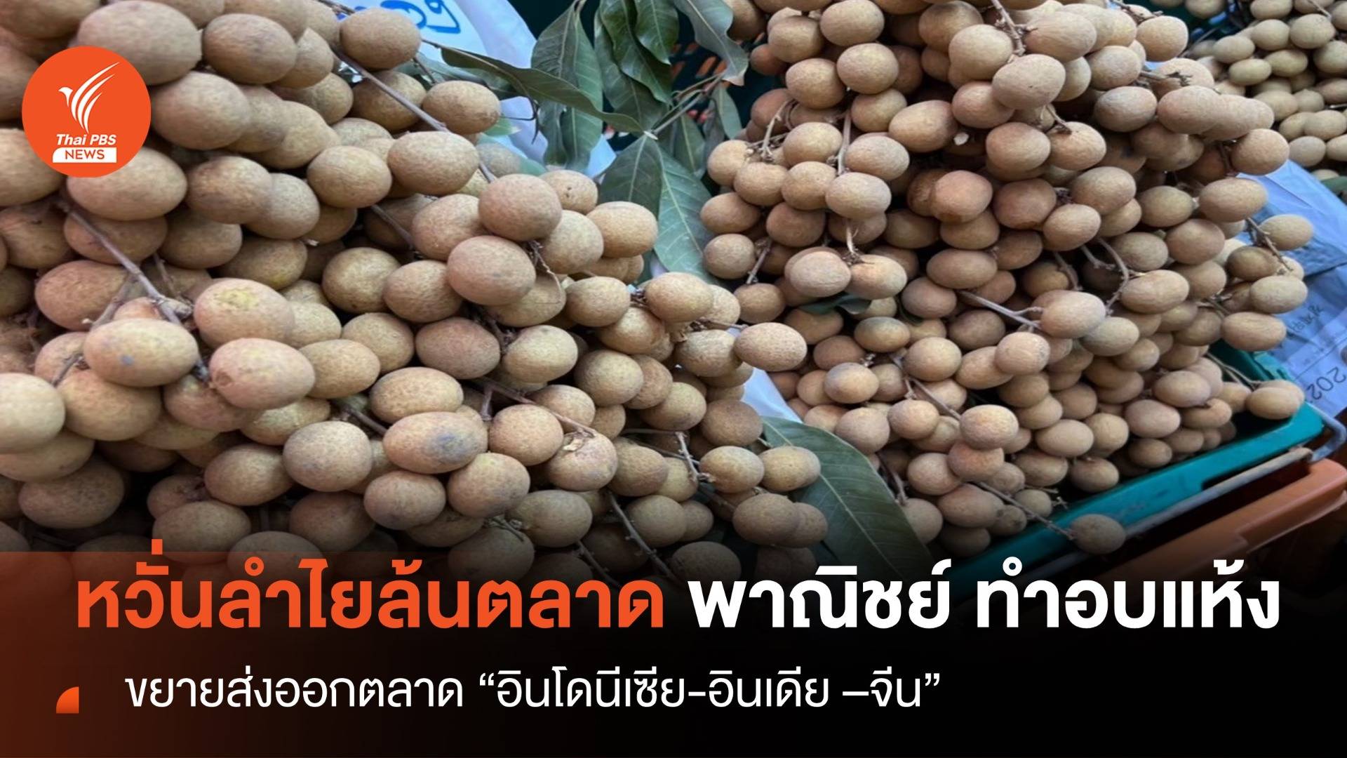 หวั่นลำไยล้นตลาด "พาณิชย์" ขยายส่งออกตลาด"อินโดนีเซีย-อินเดีย "