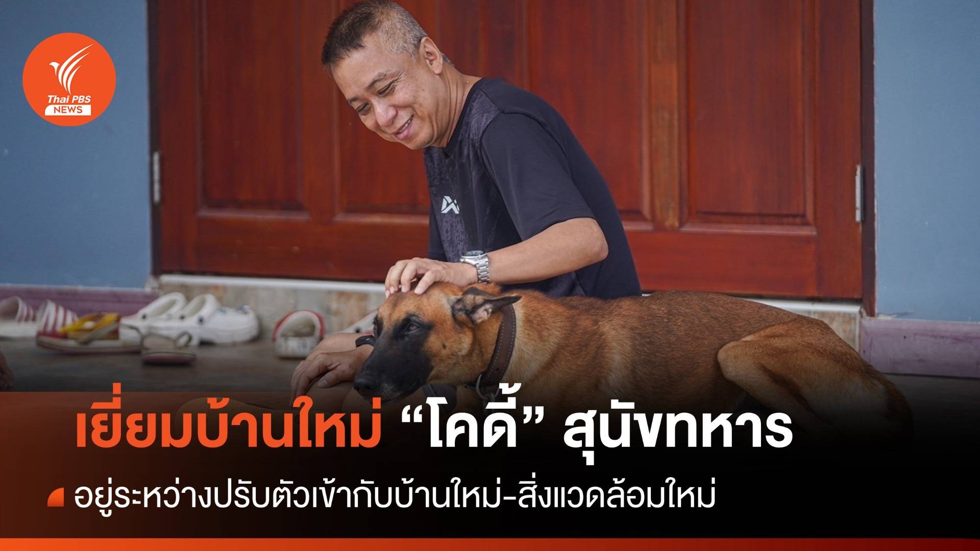 เยี่ยมสุนัขทหาร "โคดี้" อยู่ระหว่างปรับตัวกับเจ้าของ - บ้านใหม่