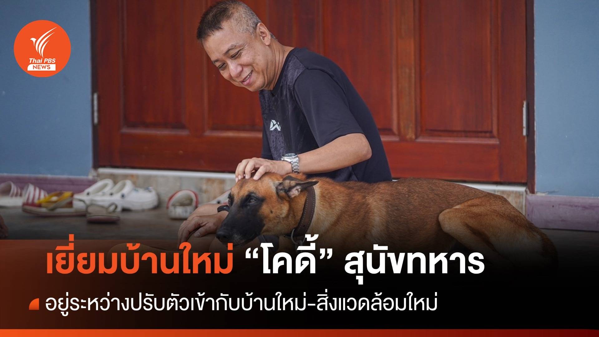 เยี่ยมสุนัขทหาร "โคดี้" อยู่ระหว่างปรับตัวกับเจ้าของ - บ้านใหม่ 