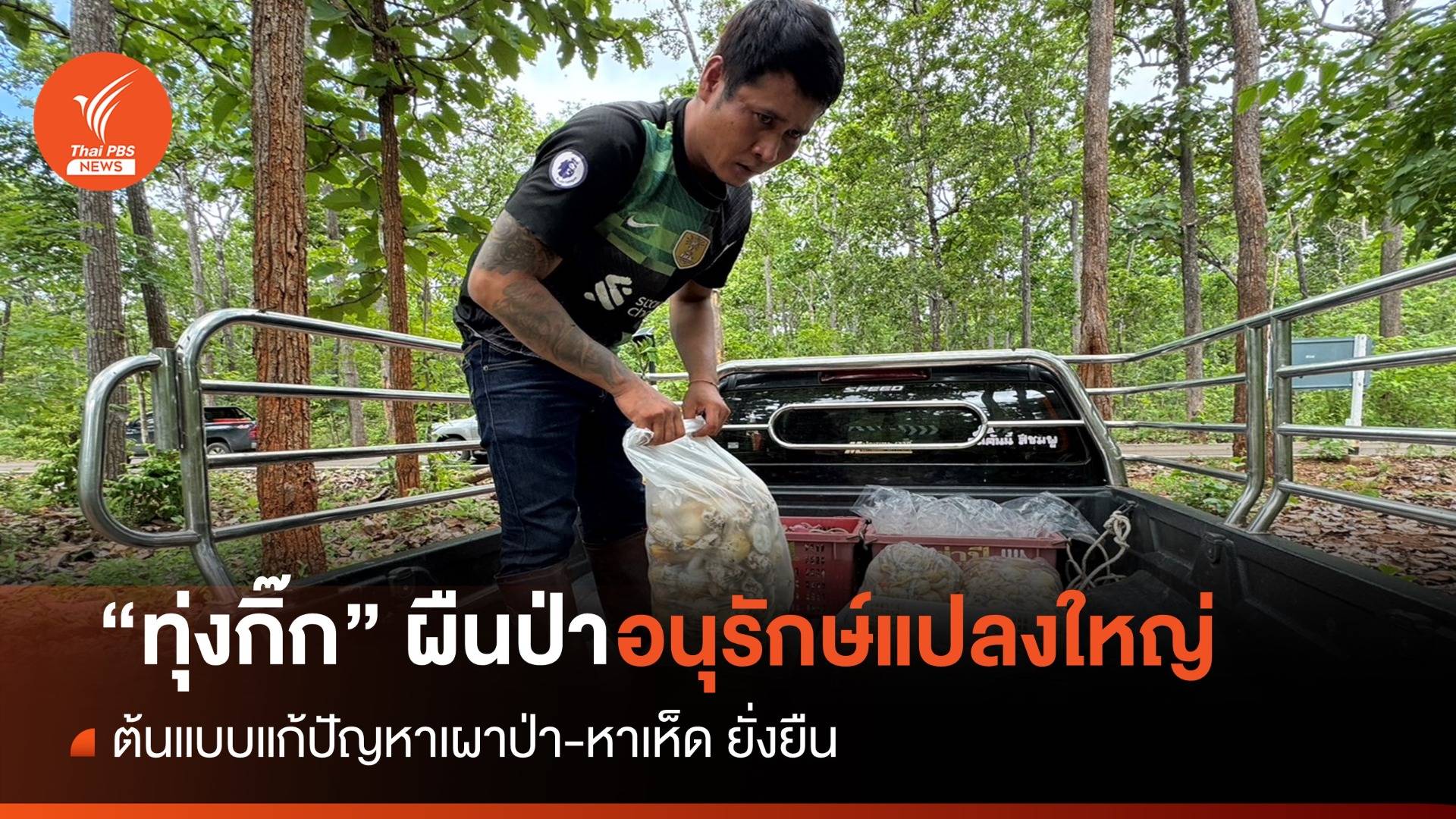 อช.แม่ปิง จ.ลำพูน ต้นแบบแก้ปัญหาเผาป่า-หาเห็ด ยั่งยืน