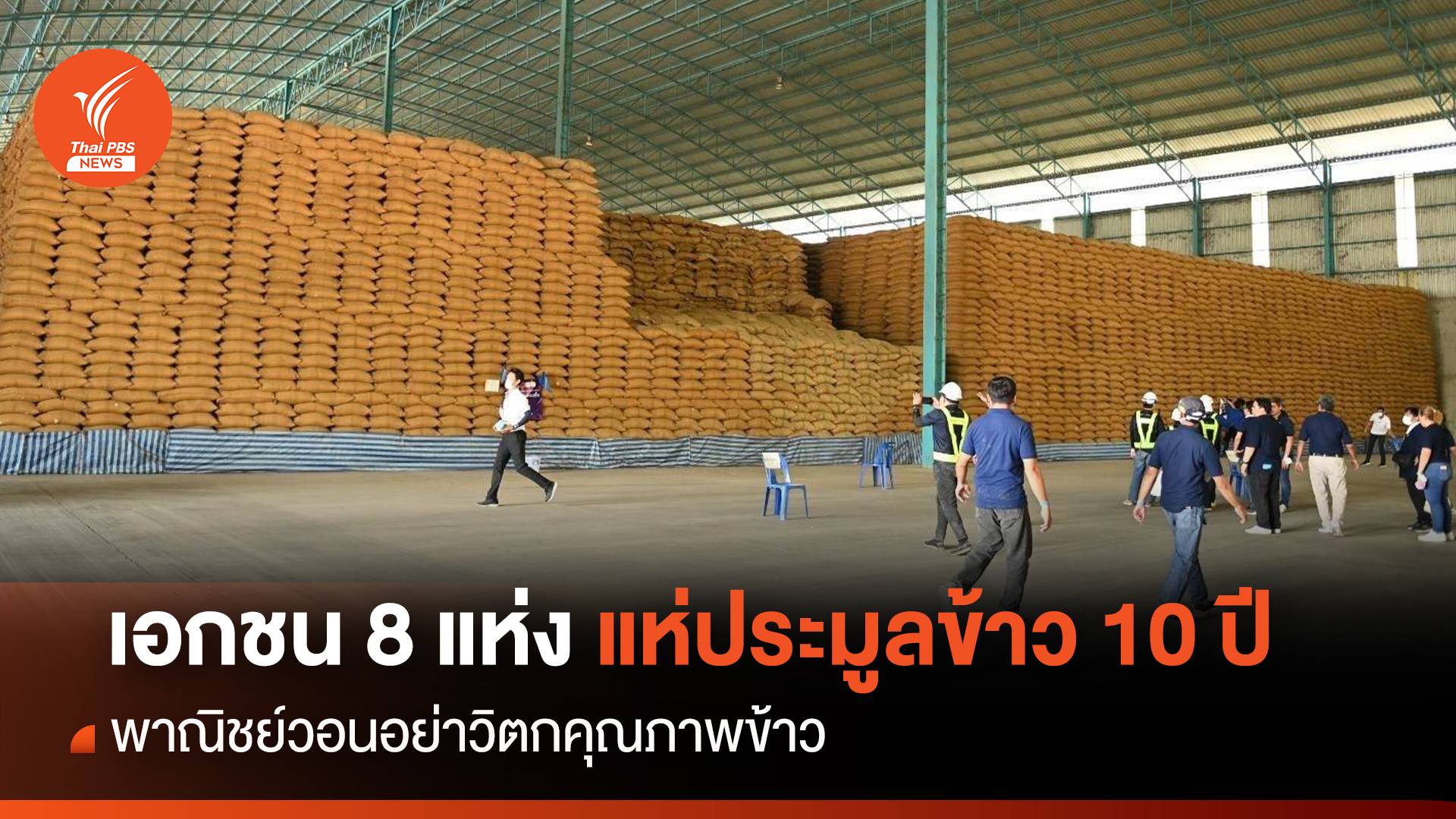 เอกชนแห่ประมูลข้าว 10 ปี  พณ.วอนอย่าวิตกคุณภาพข้าว