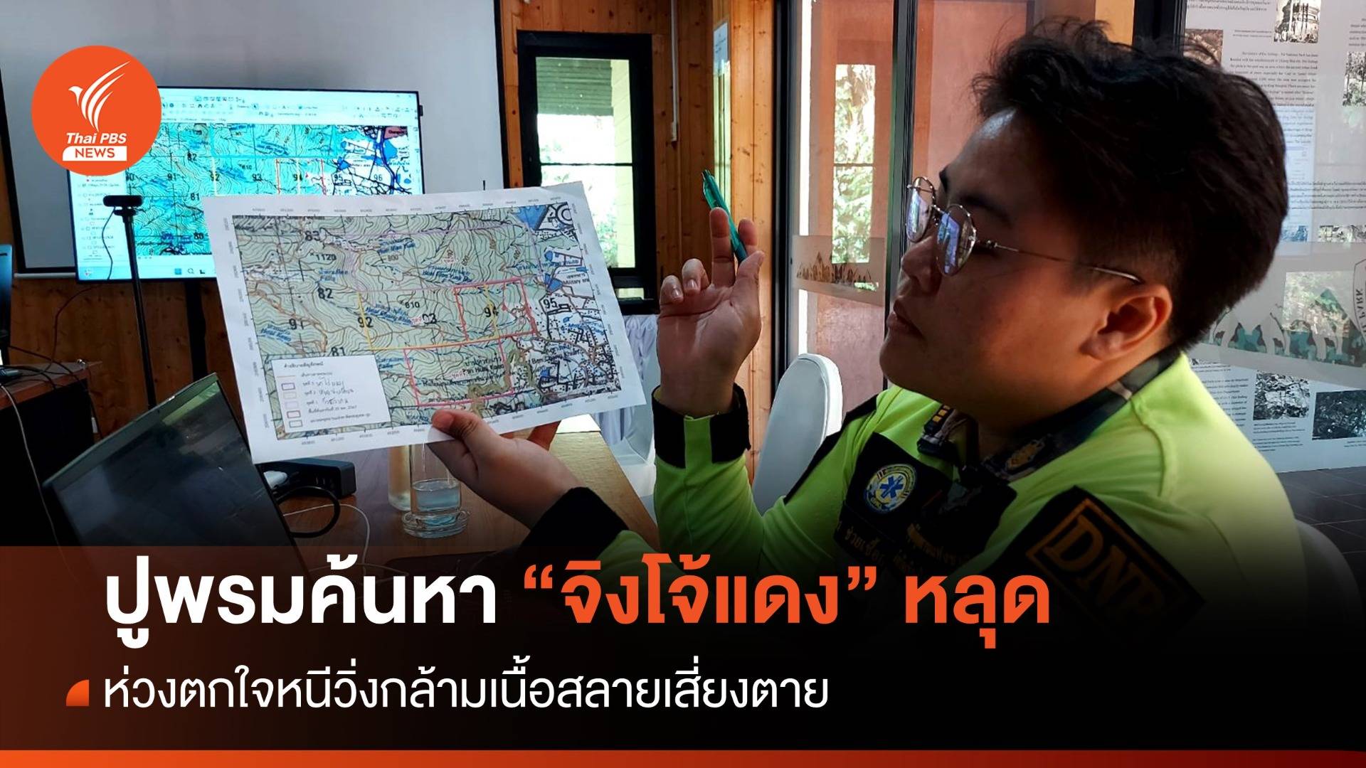 ปูพรมค้น "จิงโจ้แดง" ห่วงตกใจหนีวิ่งกล้ามเนื้อสลายเสี่ยงตาย