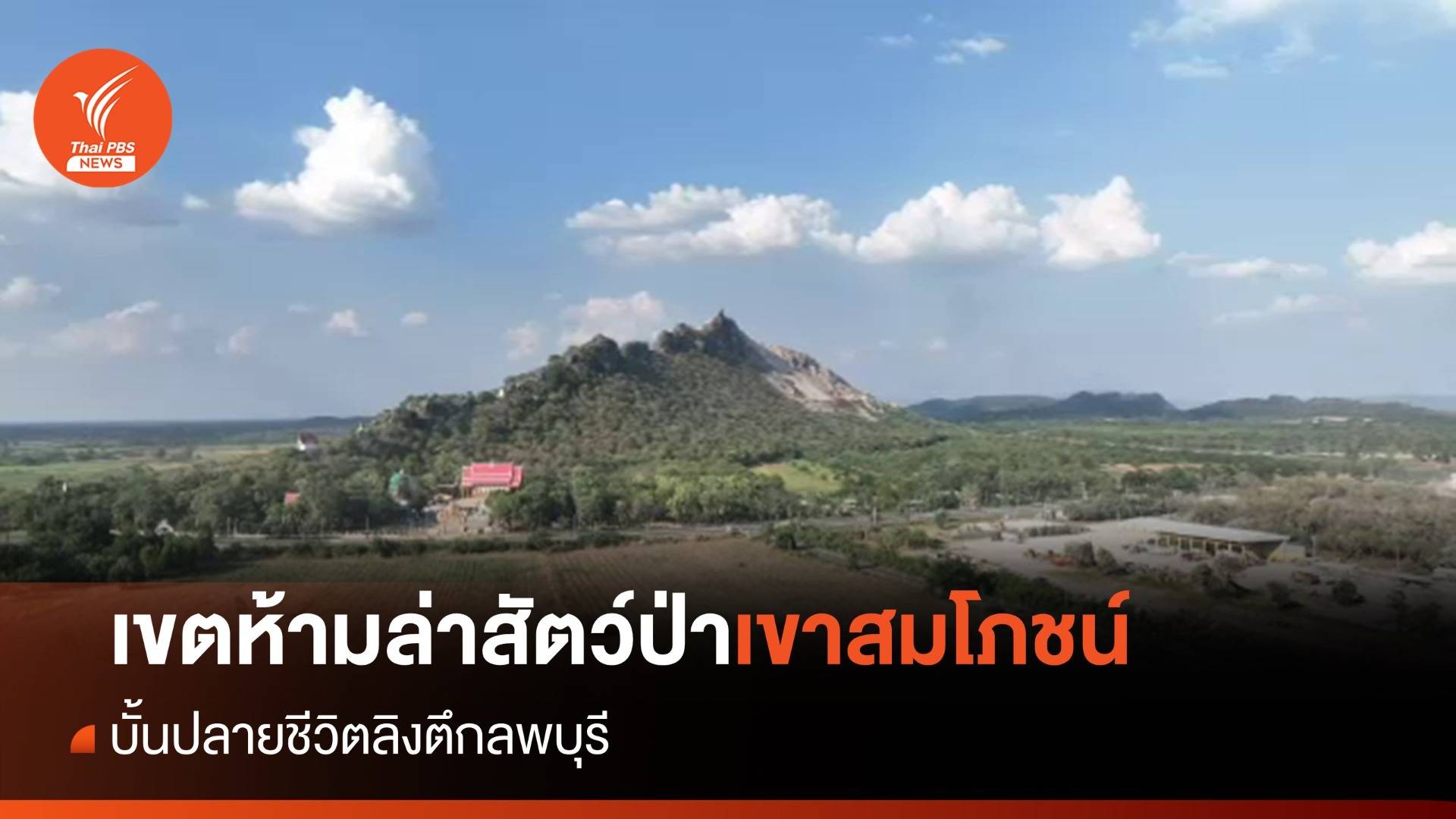 "เมืองในฝัน" กับปัญหา "ลิงลพบุรี"