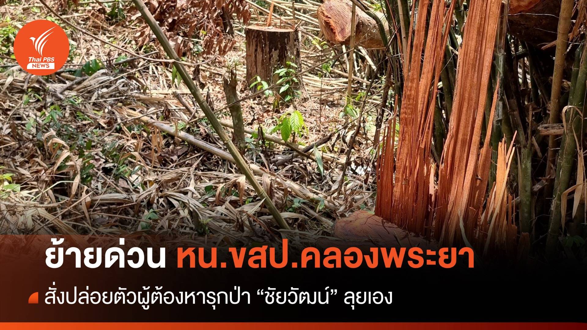 ย้ายด่วน! หน.ขสป.คลองพระยาเอี่ยวรุกป่า ตั้งกรรมการสอบ