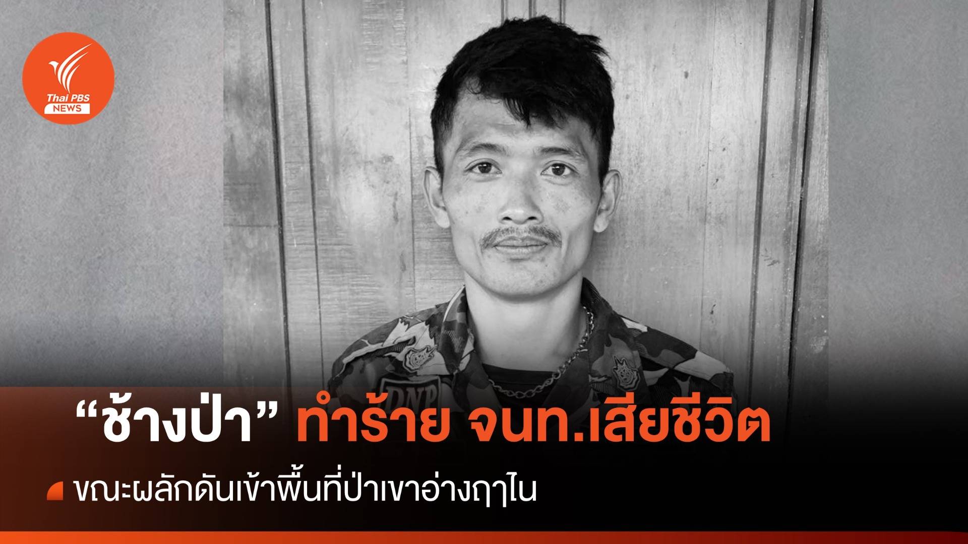 ช้างป่าเขาอ่างฤาไน ทำร้าย จนท.เสียชีวิต ขณะปฏิบัติหน้าที่