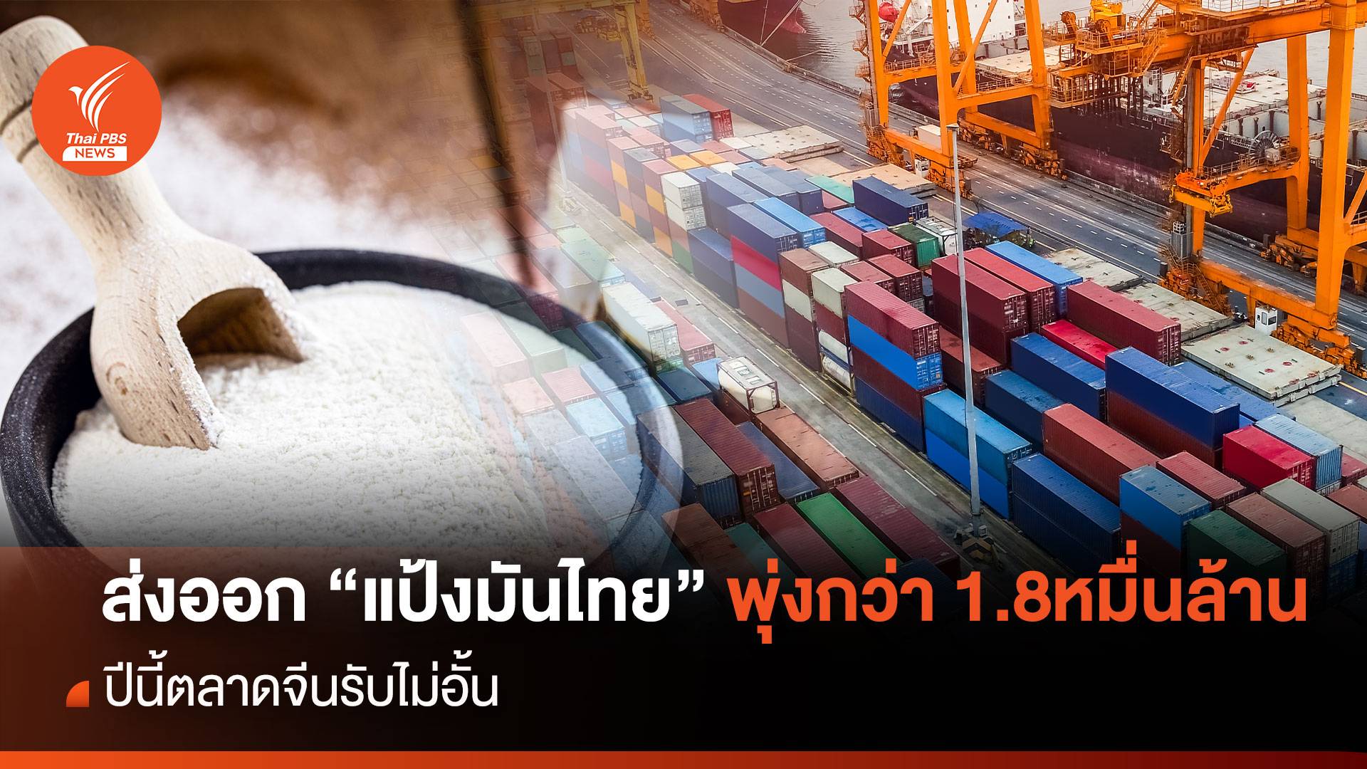 ส่งออก "แป้งมัน" พุ่ง กว่า 1.8 หมื่นล้าน ปีนี้ตลาดจีนรับไม่อั้น