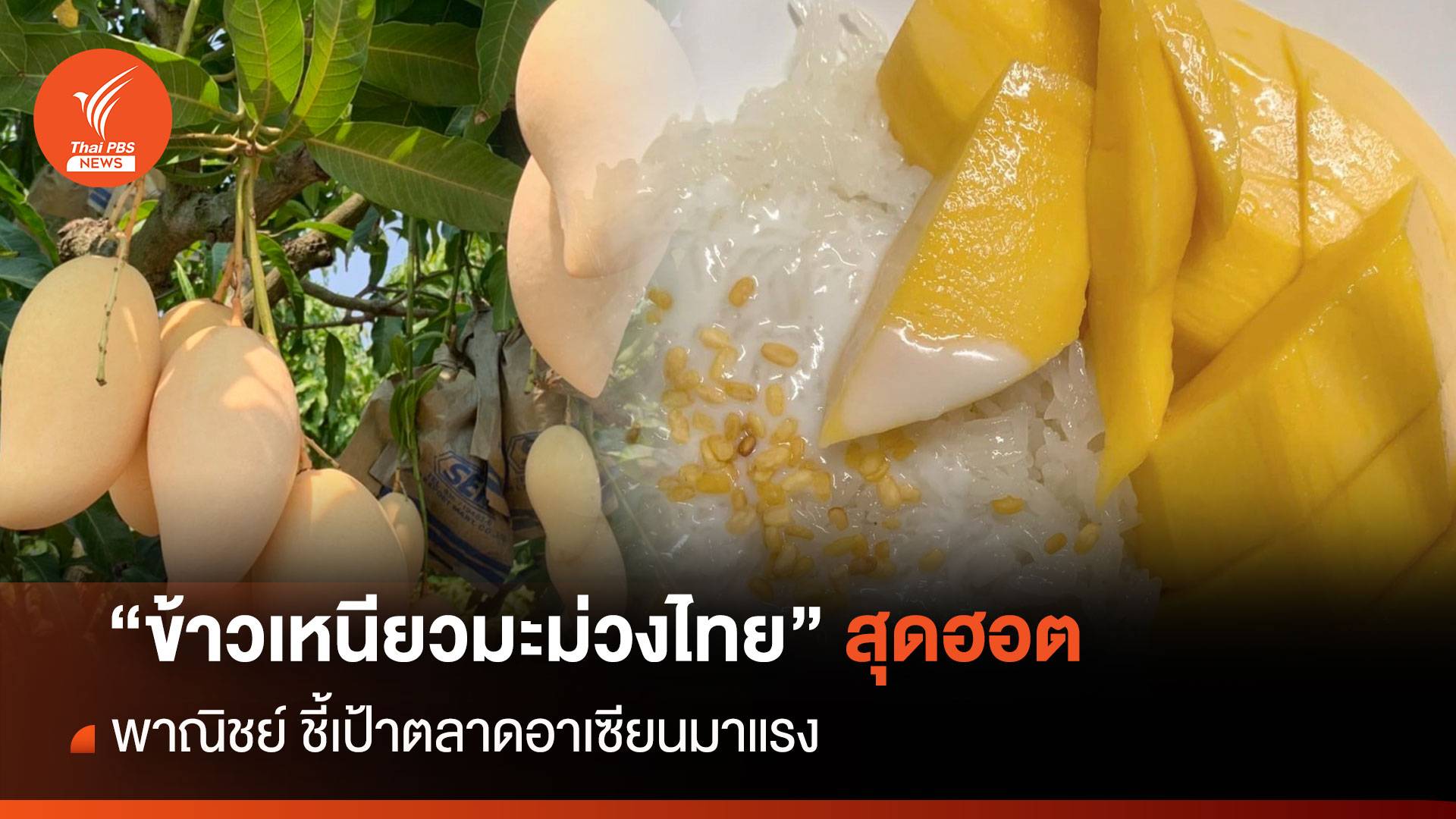 “ข้าวเหนียวมะม่วงไทย” สุดฮอต พาณิชย์ ชี้เป้าตลาดอาเซียนมาแรง