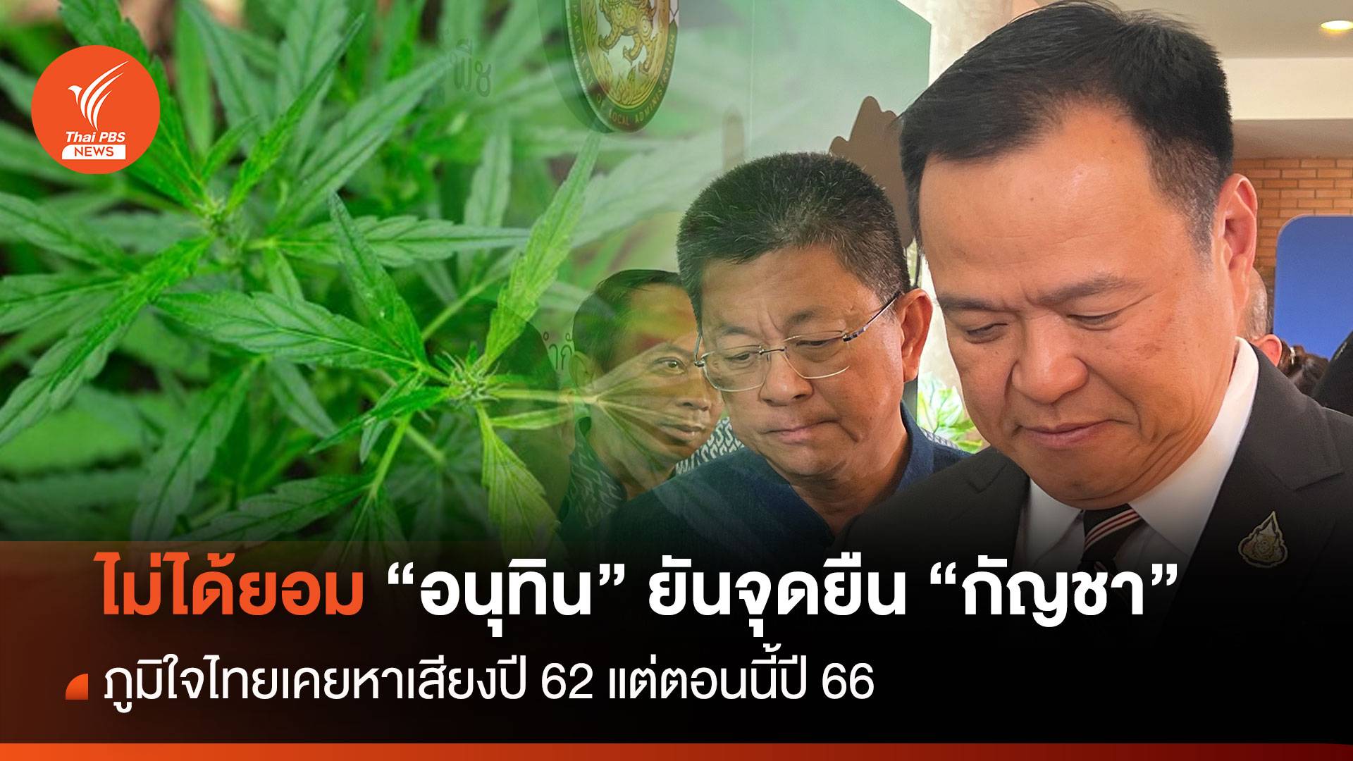 ไม่ได้ยอม "อนุทิน" ยันจุดยืน"กัญชา" ทำสำเร็จแล้วปี 62