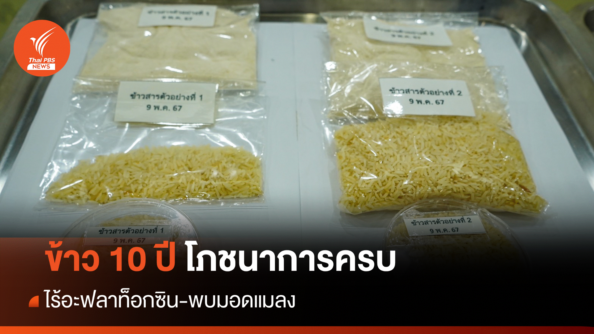 การันตีข้าว 10 ปีโภชนาการยังครบ ไร้อะฟลาท็อกซิน